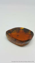 Medium dark amber piece with 3 insects