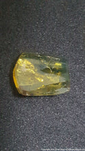 Piece of small amber with insect