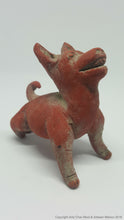 Xoloitzcuintles Dogs (Miniatures)
