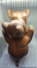 Xoloitzcuintles dogs