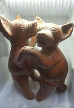 Xoloitzcuintles dogs