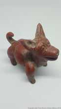 Xoloitzcuintles Dogs (Miniatures)