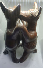 Xoloitzcuintles Brunidos Dogs