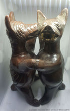 Xoloitzcuintles Brunidos Dogs