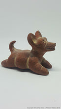 Xoloitzcuintles Dogs (Miniatures)