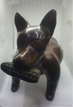 Xoloitzcuintles Brunidos Dogs